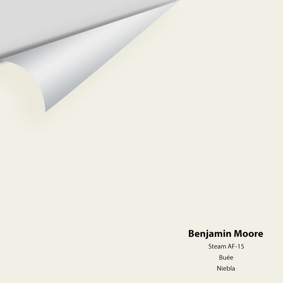 Digital color swatch of Benjamin Moore's Steam AF-15 Peel & Stick Sample available at Ricciardi BRothers in PA, DE, & NJ.
