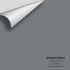 Digital color swatch of Benjamin Moore's Steel Wool 2121-20 Peel & Stick Sample available at Ricciardi BRothers in PA, DE, & NJ.