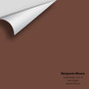 Digital color swatch of Benjamin Moore's Suede Brown 2101-10 Peel & Stick Sample available at Ricciardi BRothers in PA, DE, & NJ.