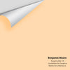 Digital color swatch of Benjamin Moore's Tangerine Mist 129 Peel & Stick Sample available at Ricciardi BRothers in PA, DE, & NJ.