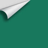 Digital color swatch of Benjamin Moore's Very Green 2040-30 Peel & Stick Sample available at Ricciardi BRothers in PA, DE, & NJ.