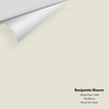 Digital color swatch of Benjamin Moore's White River 1499 Peel & Stick Sample available at Ricciardi BRothers in PA, DE, & NJ.