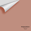 Digital color swatch of Benjamin Moore's Wythe Rose CW-225 Peel & Stick Sample available at Ricciardi BRothers in PA, DE, & NJ.