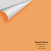 Digital color swatch of Benjamin Moore's Antelope Canyon 125 Peel & Stick Sample available at Ricciardi BRothers in PA, DE, & NJ.