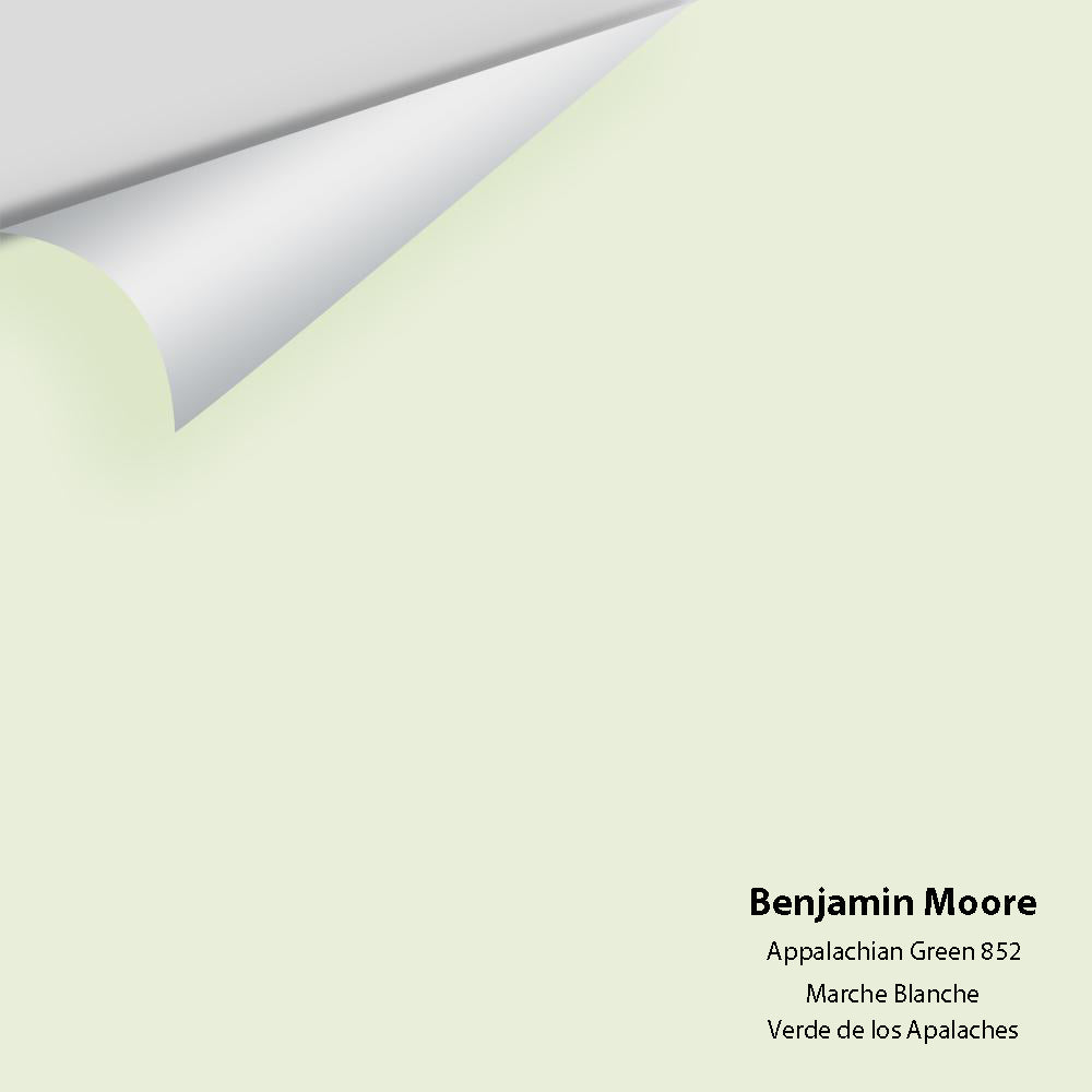 Digital color swatch of Benjamin Moore's Appalachian Green 852 Peel & Stick Sample available at Ricciardi BRothers in PA, DE, & NJ.