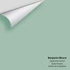 Digital color swatch of Benjamin Moore's Appalachian Trail 633 Peel & Stick Sample available at Ricciardi BRothers in PA, DE, & NJ.