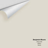 Digital color swatch of Benjamin Moore's Athena 858 Peel & Stick Sample available at Ricciardi BRothers in PA, DE, & NJ.