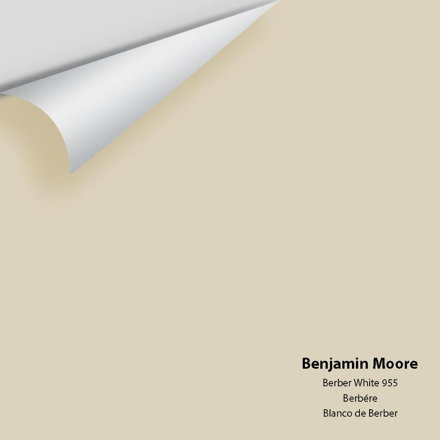Digital color swatch of Benjamin Moore's Berber White 955 Peel & Stick Sample available at Ricciardi BRothers in PA, DE, & NJ.