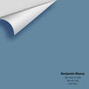 Digital color swatch of Benjamin Moore's Blue Nose 1678 / CC-800 Peel & Stick Sample available at Ricciardi BRothers in PA, DE, & NJ.