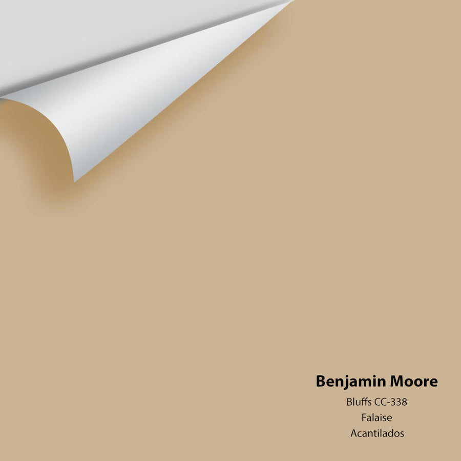 Digital color swatch of Benjamin Moore's Bluffs CC-338 Peel & Stick Sample available at Ricciardi BRothers in PA, DE, & NJ.