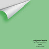 Digital color swatch of Benjamin Moore's Branch Brook Green 572 Peel & Stick Sample available at Ricciardi BRothers in PA, DE, & NJ.