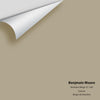 Digital color swatch of Benjamin Moore's Brandon Beige 977 Peel & Stick Sample available at Ricciardi BRothers in PA, DE, & NJ.