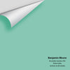 Digital color swatch of Benjamin Moore's Brookdale Gardens 599 Peel & Stick Sample available at Ricciardi BRothers in PA, DE, & NJ.