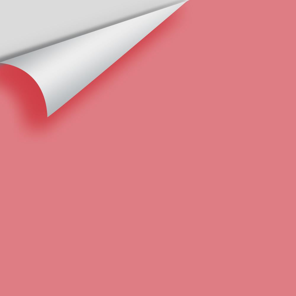 Digital color swatch of Benjamin Moore's Coral Essence 2007-40 Peel & Stick Sample available at Ricciardi BRothers in PA, DE, & NJ.