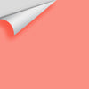 Digital color swatch of Benjamin Moore's Coral Gables 2010-40 Peel & Stick Sample available at Ricciardi BRothers in PA, DE, & NJ.
