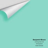 Digital color swatch of Benjamin Moore's Calming Green 605 Peel & Stick Sample available at Ricciardi BRothers in PA, DE, & NJ.