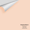 Digital color swatch of Benjamin Moore's Cameo Rose 71 Peel & Stick Sample available at Ricciardi BRothers in PA, DE, & NJ.