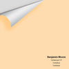 Digital color swatch of Benjamin Moore's Cantaloupe 157 Peel & Stick Sample available at Ricciardi BRothers in PA, DE, & NJ.