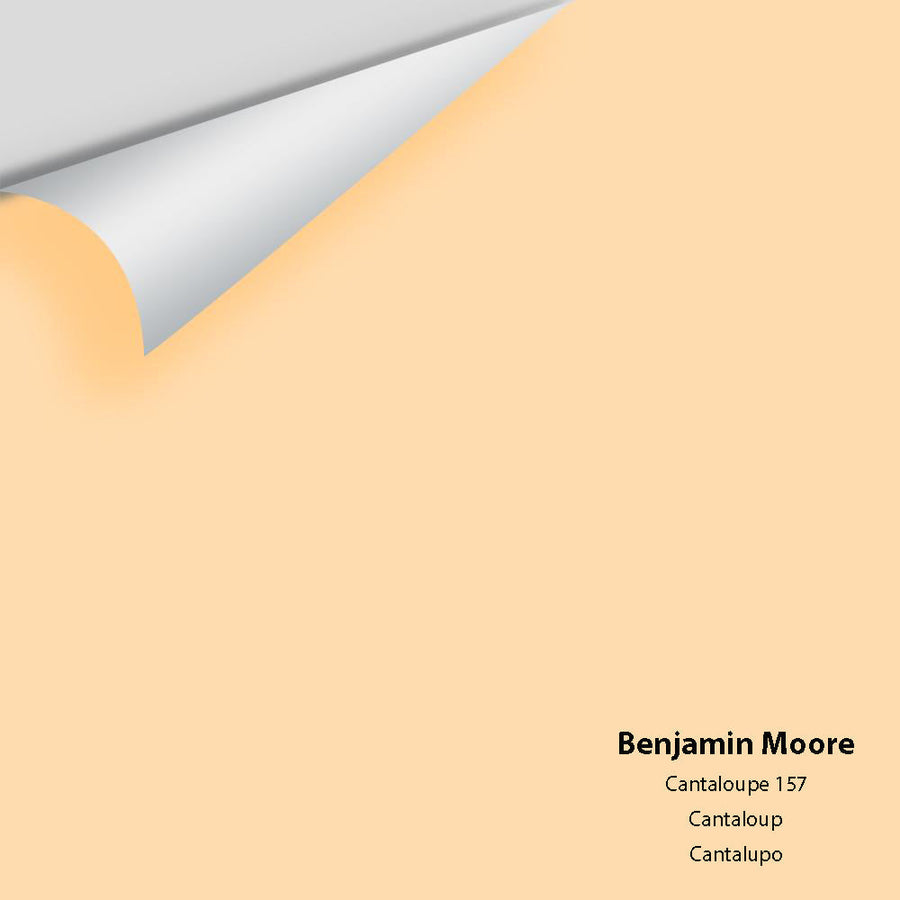 Digital color swatch of Benjamin Moore's Cantaloupe 157 Peel & Stick Sample available at Ricciardi BRothers in PA, DE, & NJ.