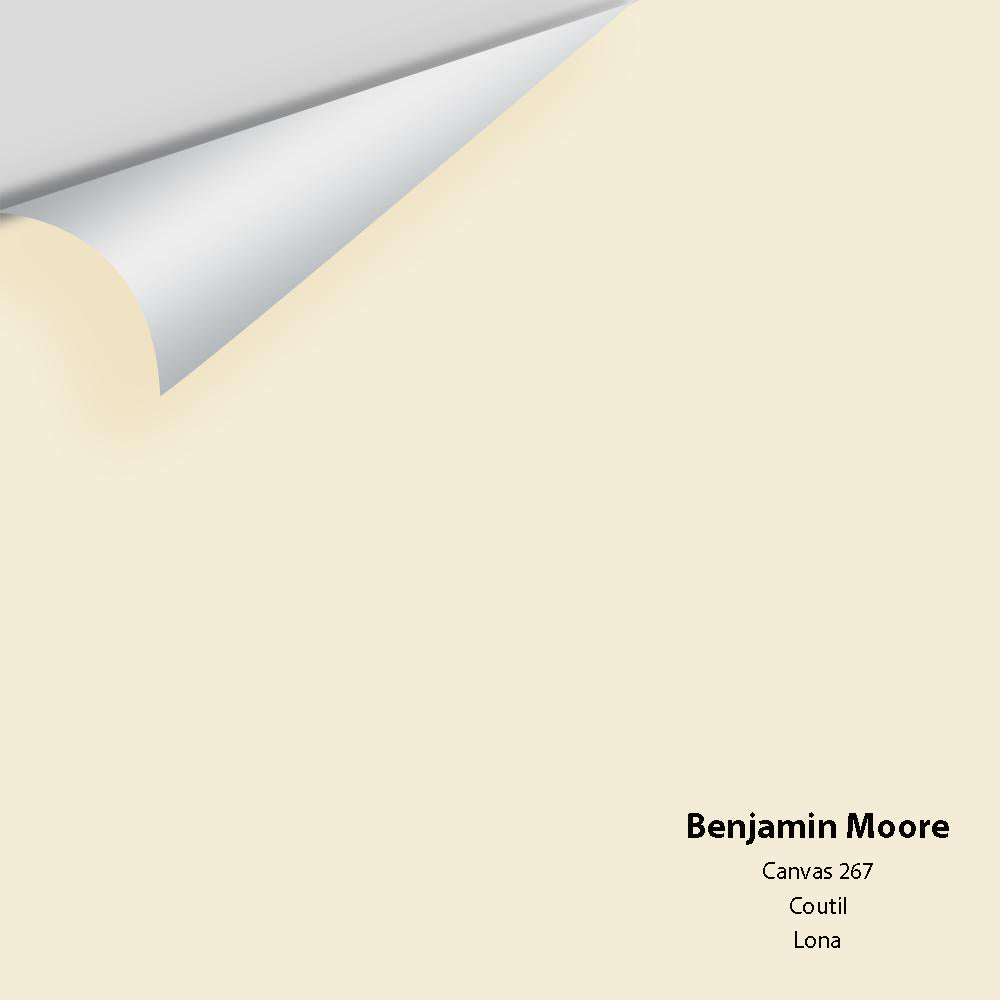 Digital color swatch of Benjamin Moore's Canvas 267 Peel & Stick Sample available at Ricciardi BRothers in PA, DE, & NJ.