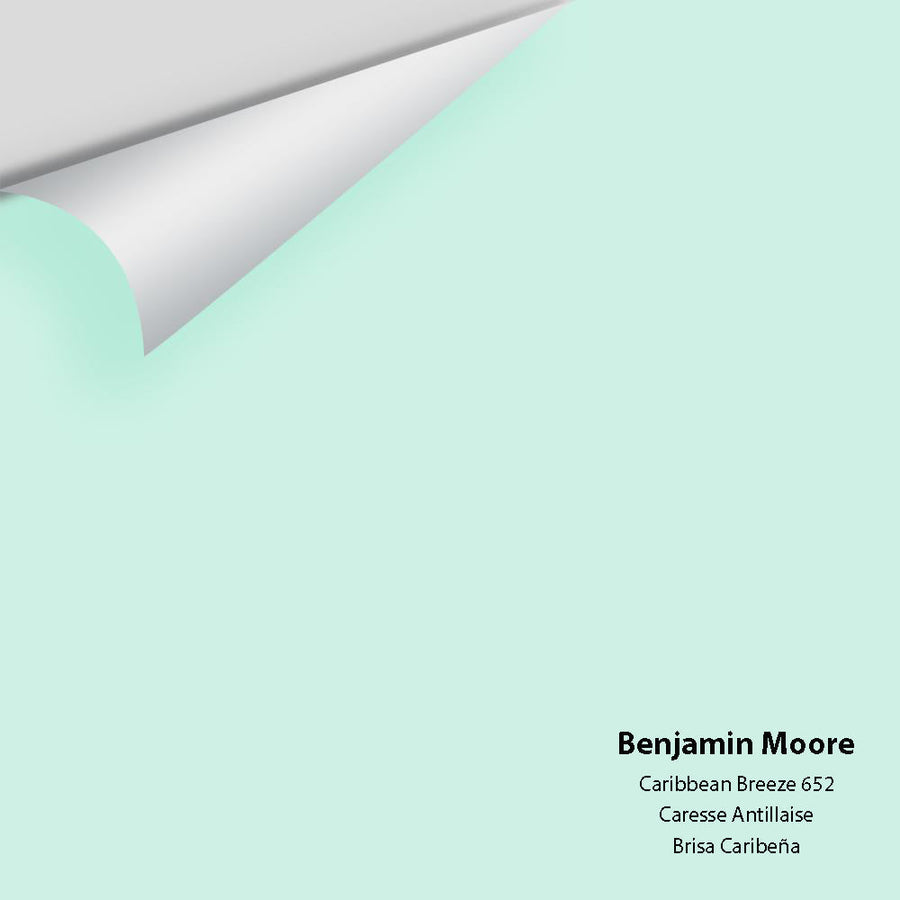 Digital color swatch of Benjamin Moore's Caribbean Breeze 652 Peel & Stick Sample available at Ricciardi BRothers in PA, DE, & NJ.
