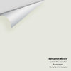 Digital color swatch of Benjamin Moore's Cascade Mountains 862 Peel & Stick Sample available at Ricciardi BRothers in PA, DE, & NJ.