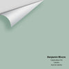 Digital color swatch of Benjamin Moore's Catalina Blue 703 Peel & Stick Sample available at Ricciardi BRothers in PA, DE, & NJ.