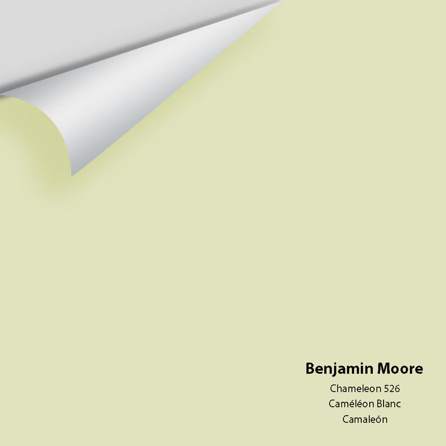 Digital color swatch of Benjamin Moore's Chameleon 526 Peel & Stick Sample available at Ricciardi BRothers in PA, DE, & NJ.