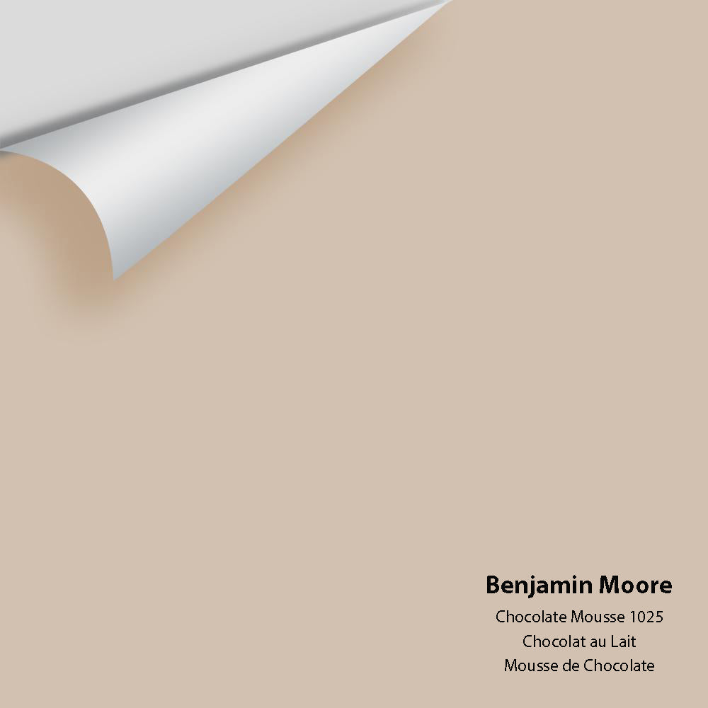 Digital color swatch of Benjamin Moore's Chocolate Mousse 1025 Peel & Stick Sample available at Ricciardi BRothers in PA, DE, & NJ.