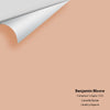 Digital color swatch of Benjamin Moore's Cinnamon 'n Spice 1215 Peel & Stick Sample available at Ricciardi BRothers in PA, DE, & NJ.