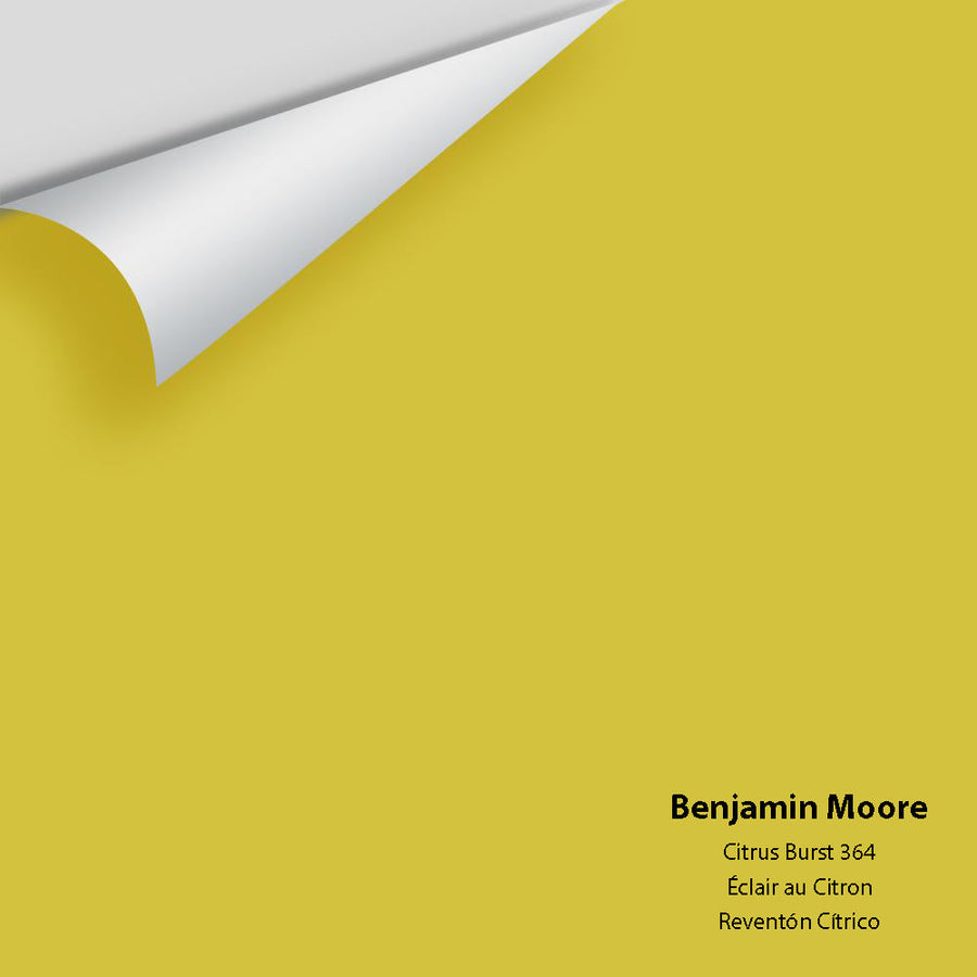 Digital color swatch of Benjamin Moore's Citrus Burst 364 Peel & Stick Sample available at Ricciardi BRothers in PA, DE, & NJ.