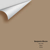 Digital color swatch of Benjamin Moore's Clay 1034 Peel & Stick Sample available at Ricciardi BRothers in PA, DE, & NJ.