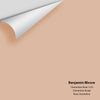 Digital color swatch of Benjamin Moore's Clementine Rose 1219 Peel & Stick Sample available at Ricciardi BRothers in PA, DE, & NJ.