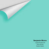 Digital color swatch of Benjamin Moore's Coastal Paradise 655 Peel & Stick Sample available at Ricciardi BRothers in PA, DE, & NJ.