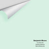 Digital color swatch of Benjamin Moore's Cool Mint 582 Peel & Stick Sample available at Ricciardi BRothers in PA, DE, & NJ.