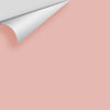 Digital color swatch of Benjamin Moore's Coral Dust 2173-50 Peel & Stick Sample available at Ricciardi BRothers in PA, DE, & NJ.