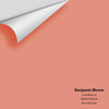 Digital color swatch of Benjamin Moore's Coral Rock 32 Peel & Stick Sample available at Ricciardi BRothers in PA, DE, & NJ.