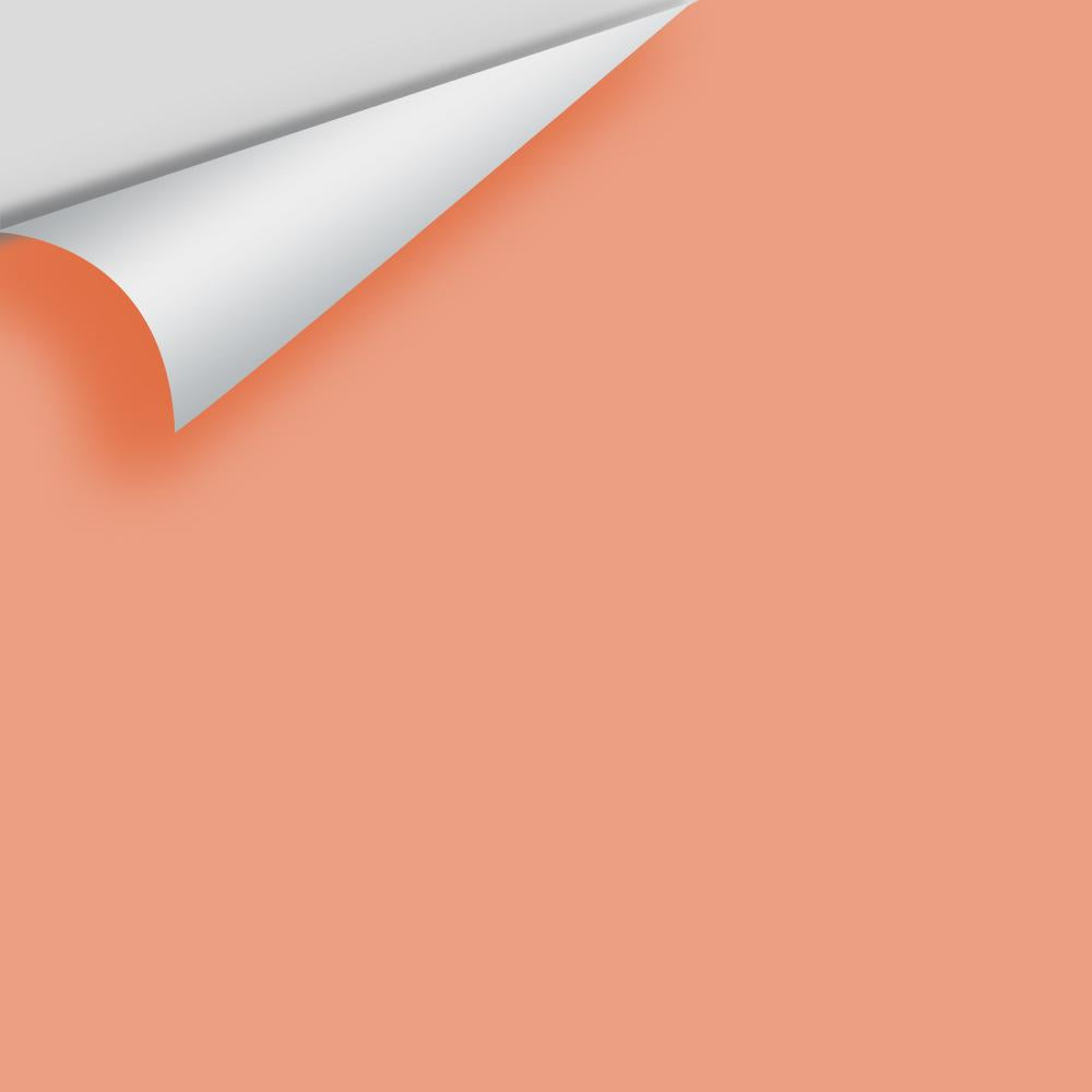 Digital color swatch of Benjamin Moore's Coral Spice 2170-40 Peel & Stick Sample available at Ricciardi BRothers in PA, DE, & NJ.