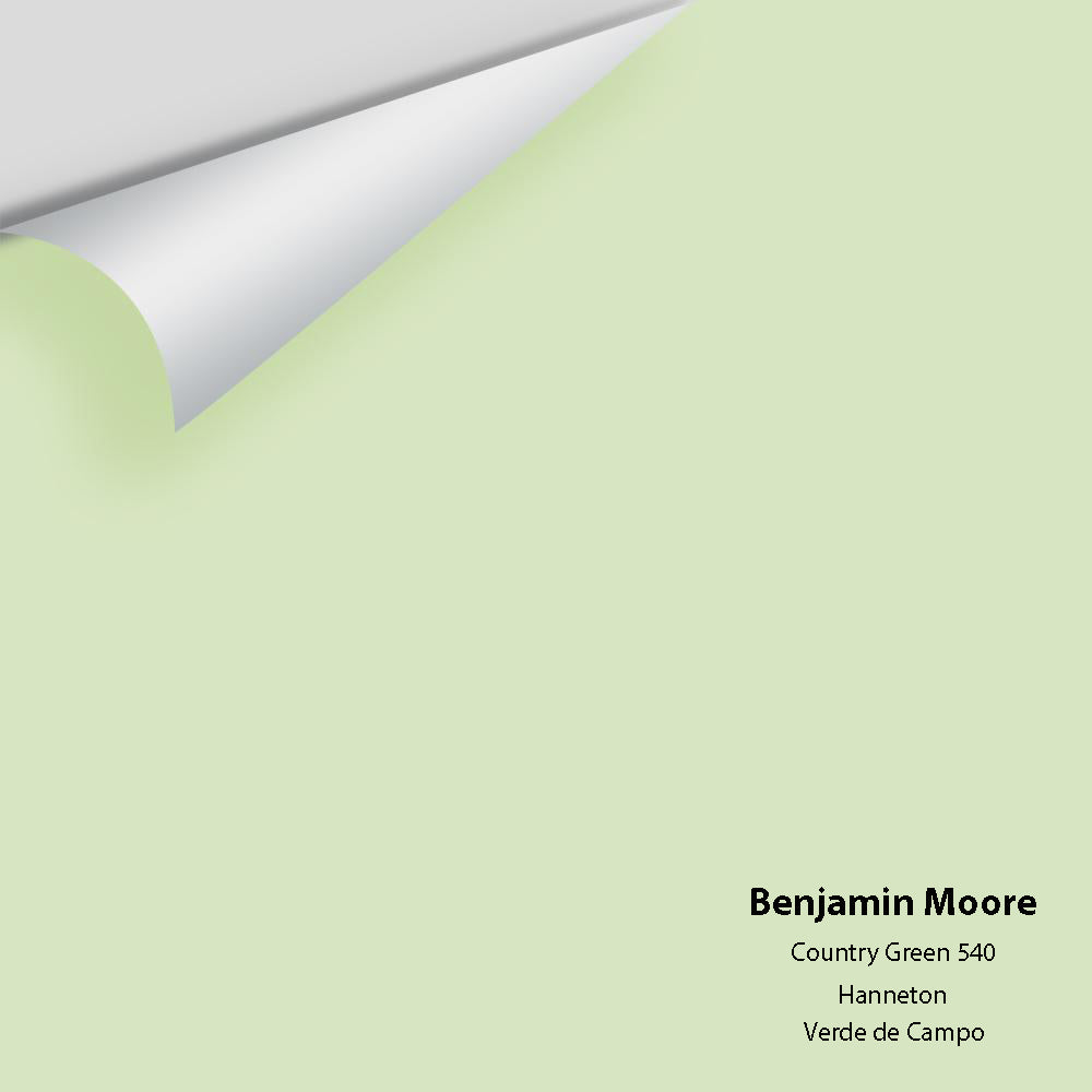 Digital color swatch of Benjamin Moore's Country Green 540 Peel & Stick Sample available at Ricciardi BRothers in PA, DE, & NJ.