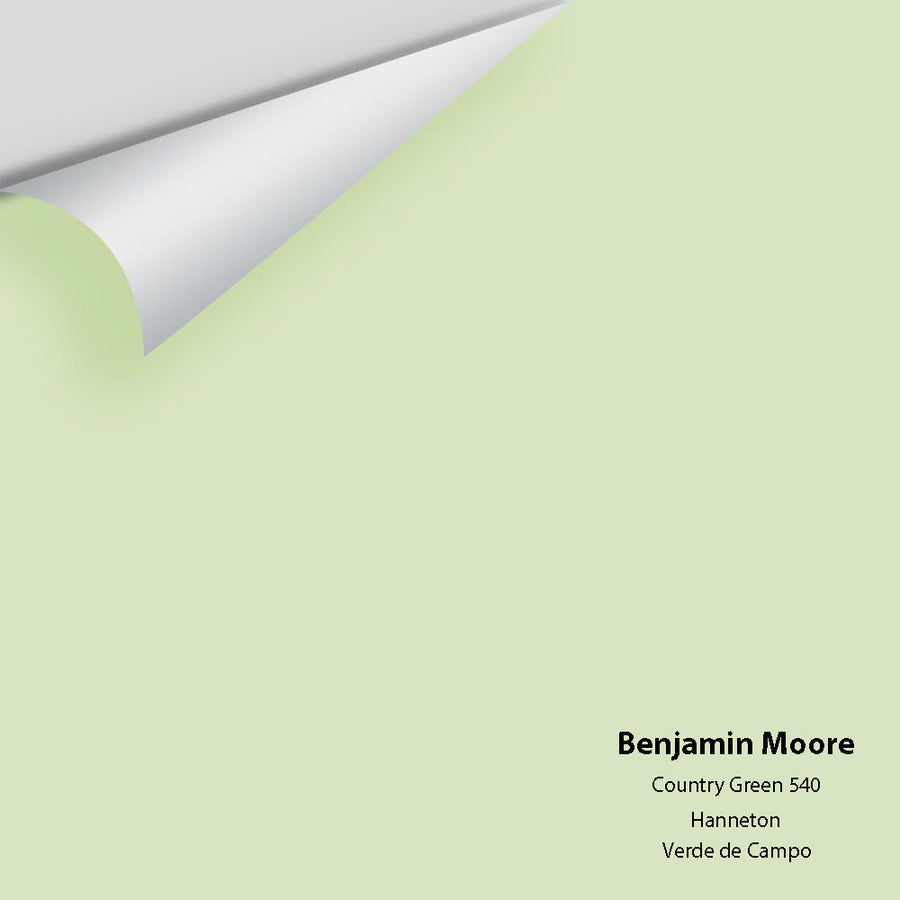 Digital color swatch of Benjamin Moore's Country Green 540 Peel & Stick Sample available at Ricciardi BRothers in PA, DE, & NJ.