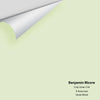 Digital color swatch of Benjamin Moore's Crisp Green 534 Peel & Stick Sample available at Ricciardi BRothers in PA, DE, & NJ.