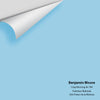 Digital color swatch of Benjamin Moore's Crisp Morning Air 780 Peel & Stick Sample available at Ricciardi BRothers in PA, DE, & NJ.