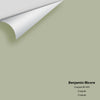 Digital color swatch of Benjamin Moore's Croquet AF-455 Peel & Stick Sample available at Ricciardi BRothers in PA, DE, & NJ.