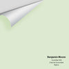 Digital color swatch of Benjamin Moore's Cucumber 428 Peel & Stick Sample available at Ricciardi BRothers in PA, DE, & NJ.