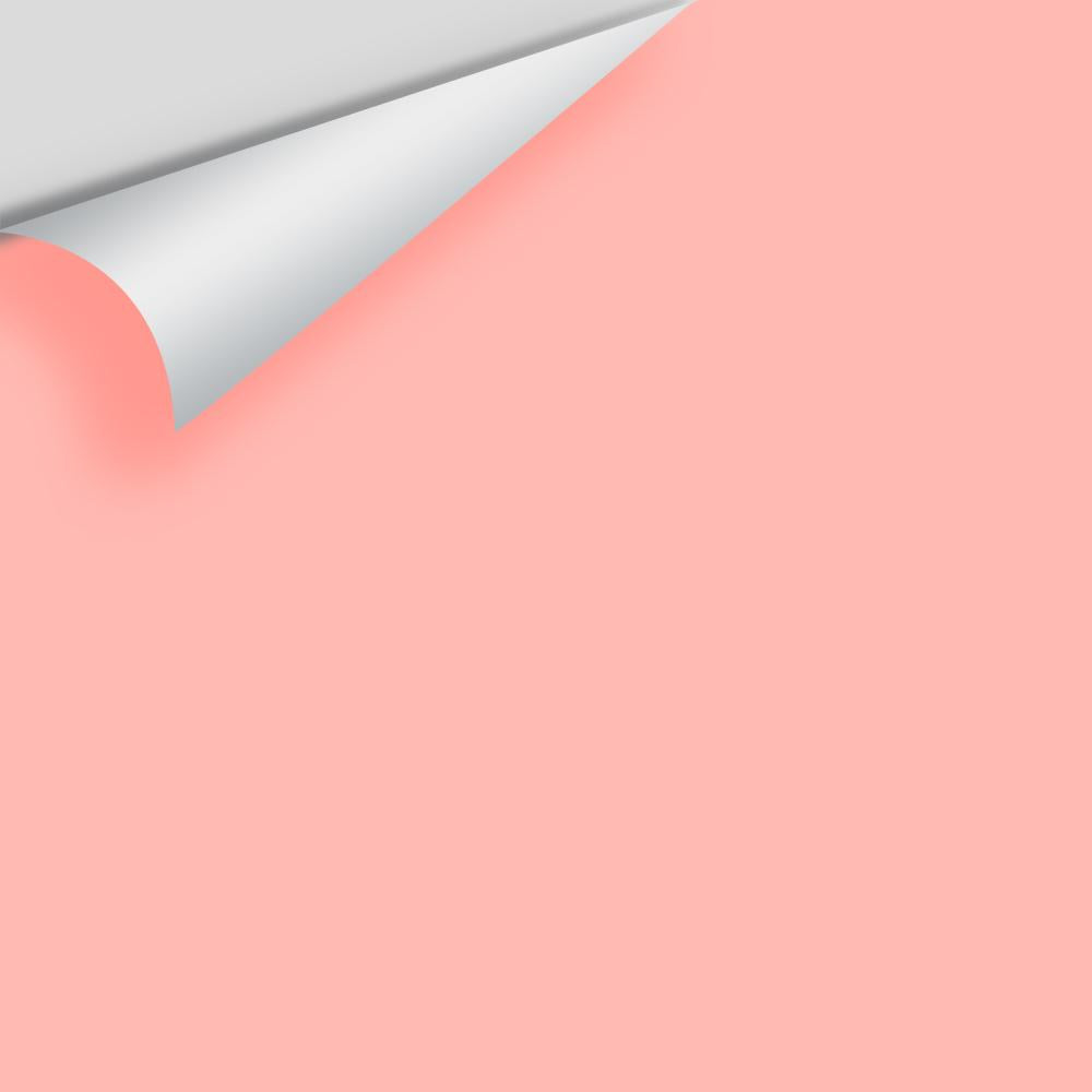 Digital color swatch of Benjamin Moore's Dawn Pink 2010-50 Peel & Stick Sample available at Ricciardi BRothers in PA, DE, & NJ.