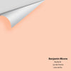 Digital color swatch of Benjamin Moore's Daylily 80 Peel & Stick Sample available at Ricciardi BRothers in PA, DE, & NJ.