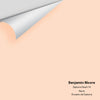 Digital color swatch of Benjamin Moore's Daytona Peach 79 Peel & Stick Sample available at Ricciardi BRothers in PA, DE, & NJ.