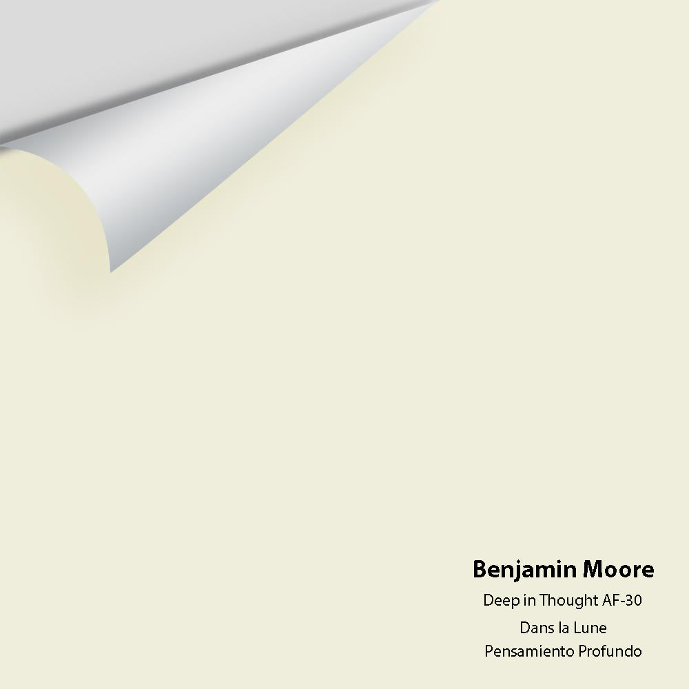Digital color swatch of Benjamin Moore's Deep in Thought AF-30 Peel & Stick Sample available at Ricciardi BRothers in PA, DE, & NJ.