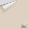 Digital color swatch of Benjamin Moore's Dusty Road CC-310 Peel & Stick Sample available at Ricciardi BRothers in PA, DE, & NJ.