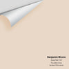 Digital color swatch of Benjamin Moore's Dusty Trail 1157 Peel & Stick Sample available at Ricciardi BRothers in PA, DE, & NJ.